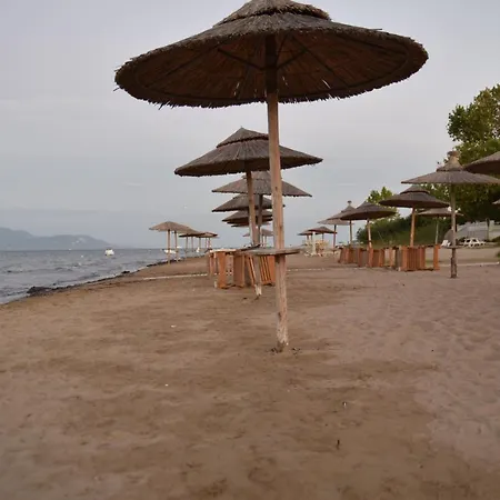 Seaside House
